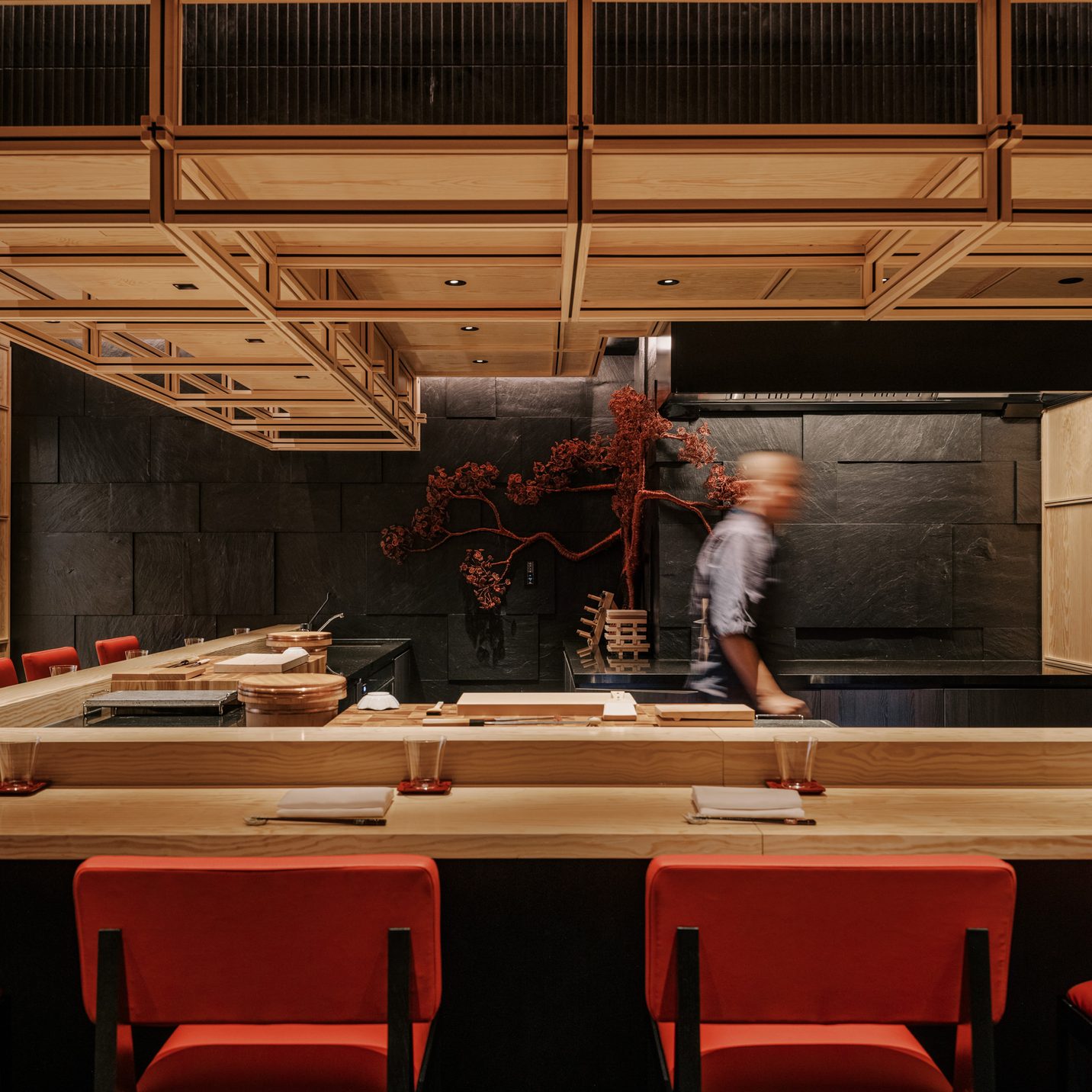 Koyo — gallery 3